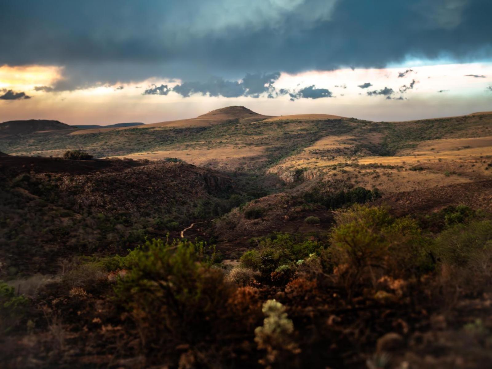 Riverbed Africa Lydenburg Rom bilde