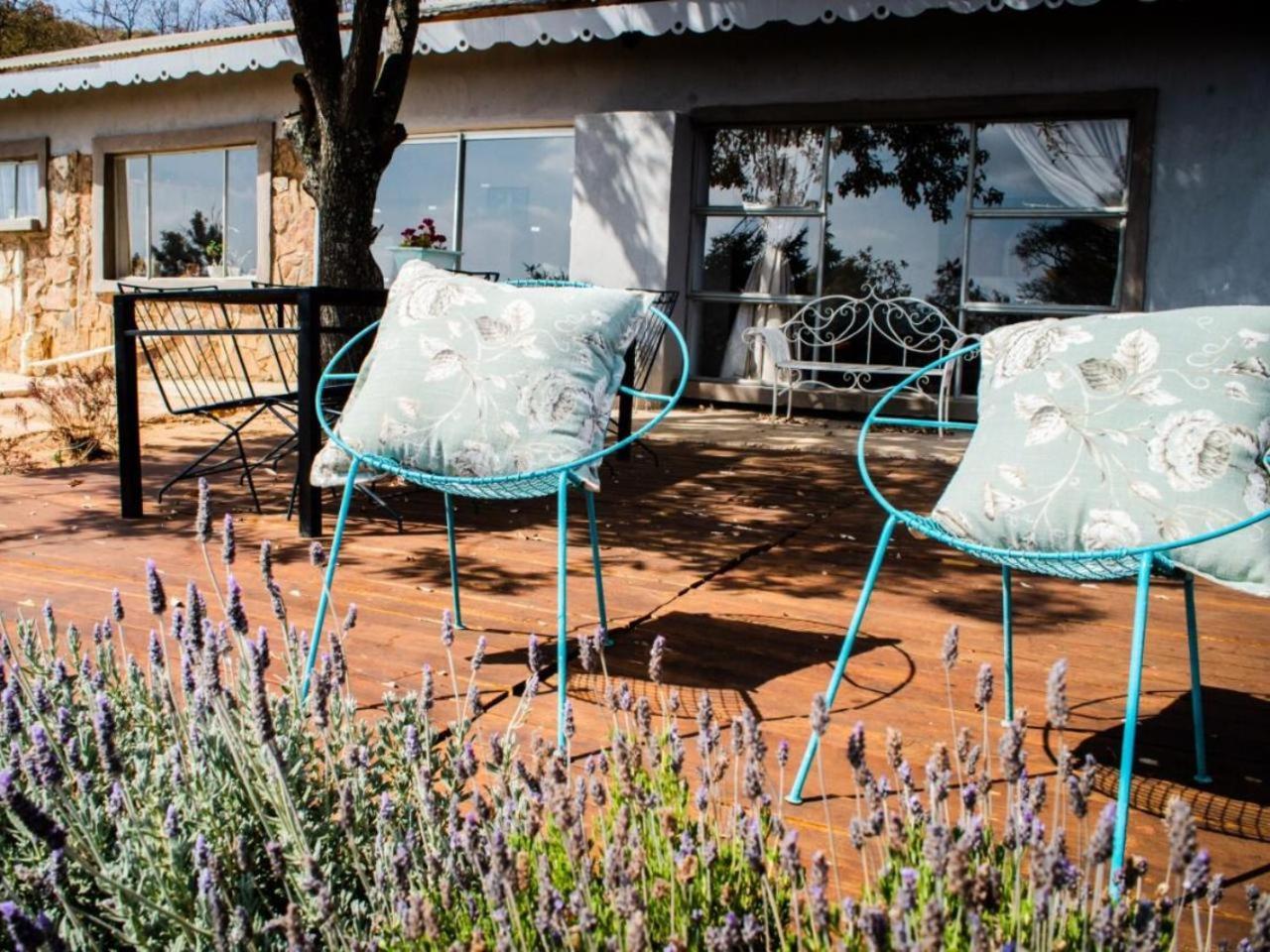 Riverbed Africa Lydenburg Rom bilde