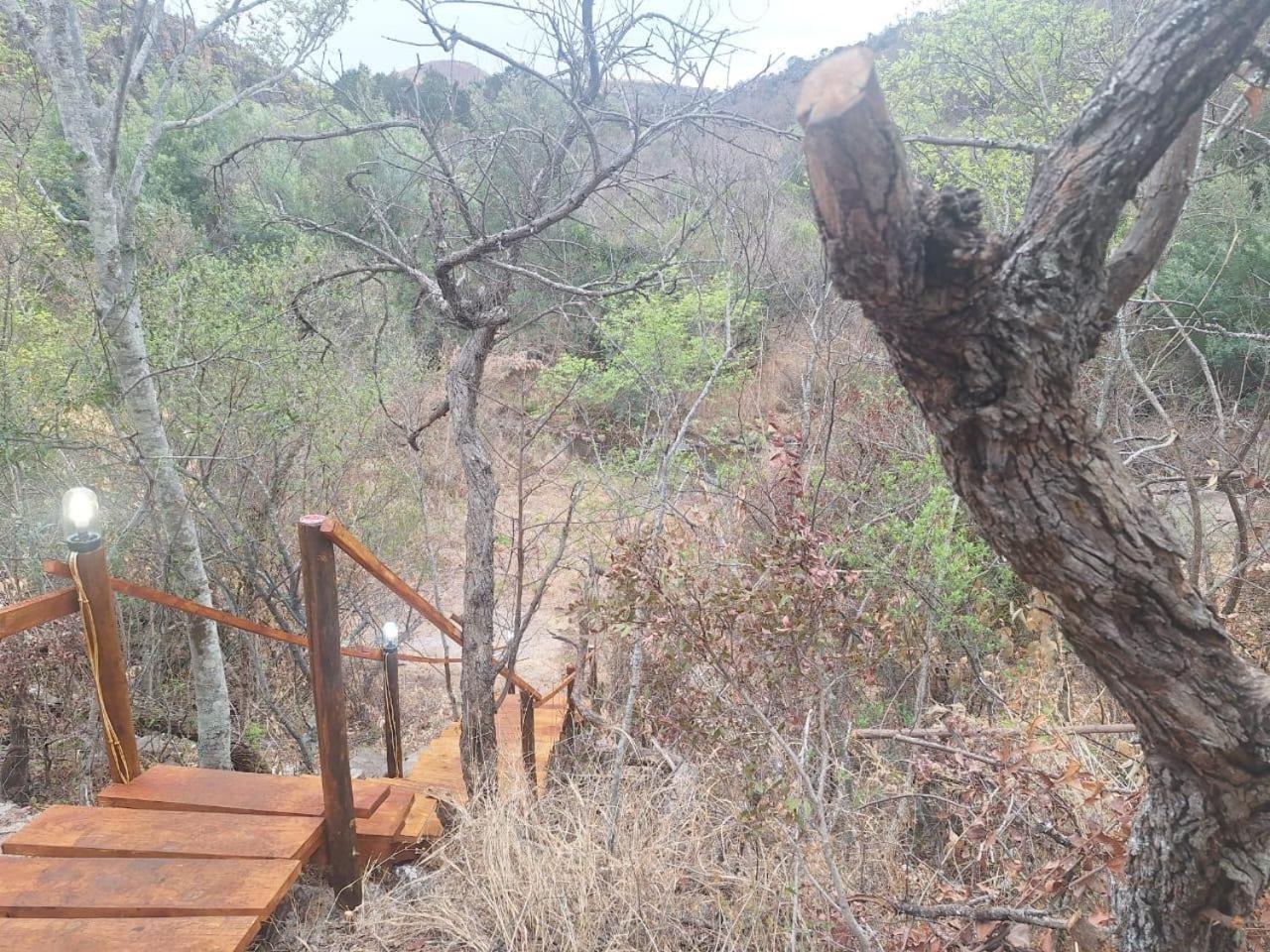 Riverbed Africa Lydenburg Rom bilde