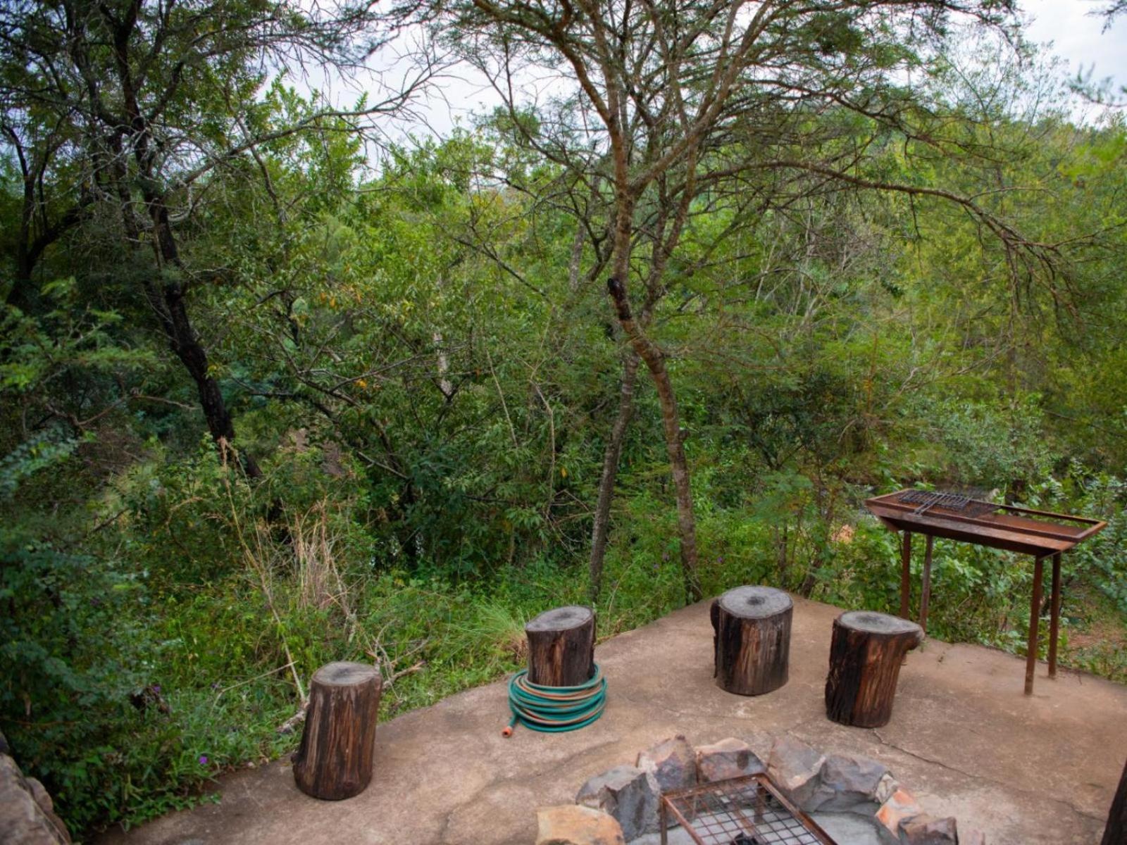 Riverbed Africa Lydenburg Rom bilde